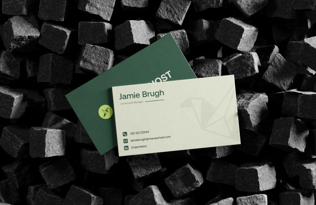 Brand identity, web design and marketing for Macaw Host